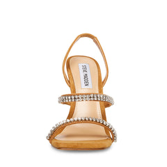 GRADE-R CAMEL MULTI - SM REBOOTED