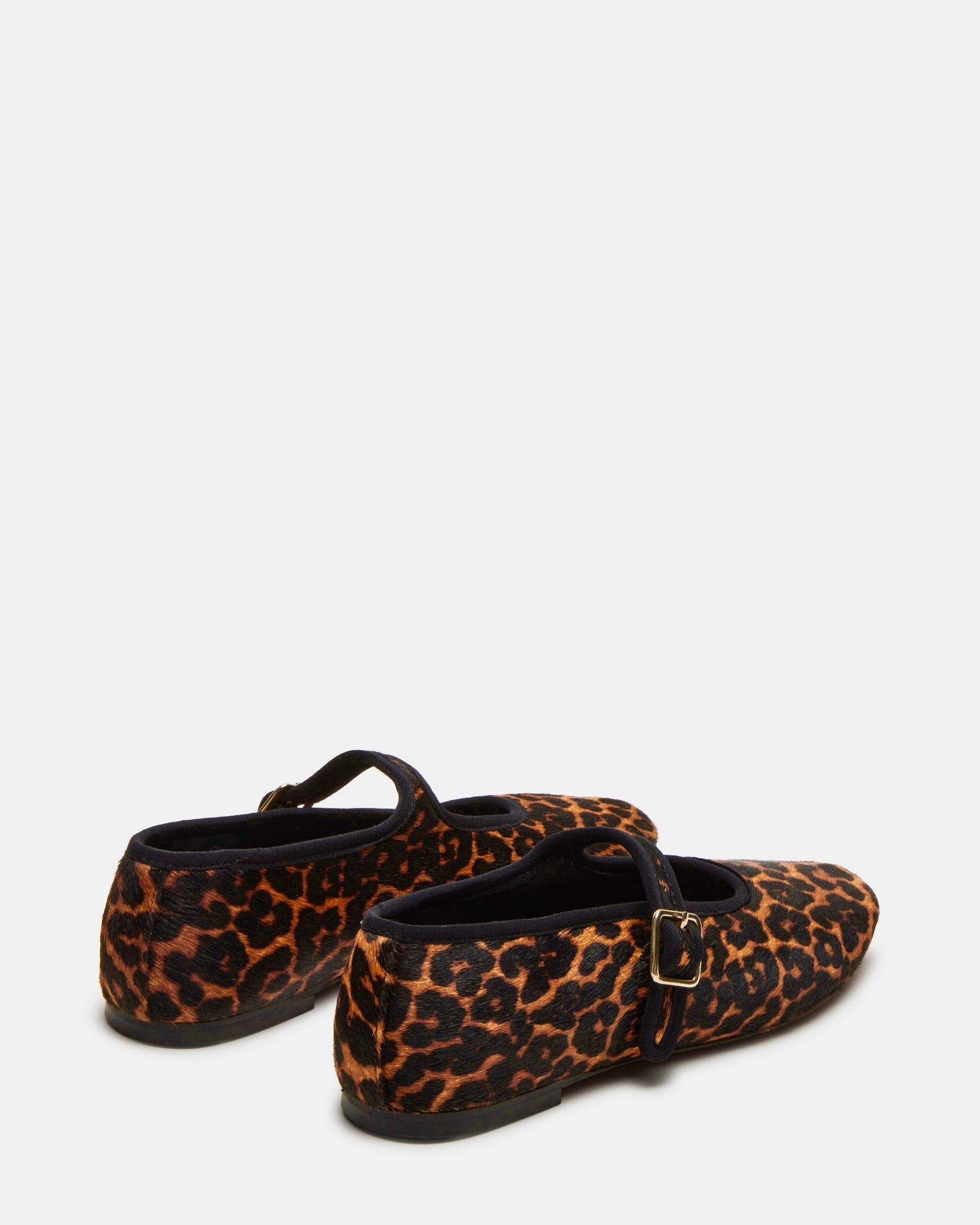 DREAMING LEOPARD - SM REBOOTED